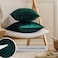 JIAHANNHA Velvet Green Throw Pillow Covers Pack of 2 Decorative Soft for Couch Sofa Bedroom Livingroom Car 1616 Inches