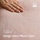 Foindtower Pack of 2 Decorative Linen Solid Throw Pillow Covers Soft Accent Cushion Case Boho Farmhouse Pillowcase for Chair Couch Sofa Bedroom Living Room Home Decor 18 x 18 Inch Light Pink