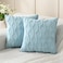 Volcanics Pack of 2 Faux Wool Throw Pillow Covers 20x20 Inches Decorative Farmhouse Velvet Couch Pillow Case Soft Plush Square Boho Cushion Pillowcase Misty Blue