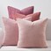 Topfinel Decorative Throw Pillow Covers Cushion Cases Set of 4 Soft Velvet Modern DoubleSided Designs Mix and Match for Home Decor Pillow Inserts Not Included 24x24 inch Pink