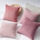 Topfinel Decorative Throw Pillow Covers Cushion Cases Set of 4 Soft Velvet Modern DoubleSided Designs Mix and Match for Home Decor Pillow Inserts Not Included 24x24 inch Pink