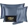 DKBslik Silk Pillow Cases 2 Pack Mulberry Silk Pillowcases Standard Set of 2 Soft Smooth Anti Acne Beauty Sleep Both Sides Natural Silk Satin Pillow Cases for Women 2 Pack with Zipper for Gift Ash Blu