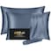 DKBslik Silk Pillow Cases 2 Pack Mulberry Silk Pillowcases Standard Set of 2 Soft Smooth Anti Acne Beauty Sleep Both Sides Natural Silk Satin Pillow Cases for Women 2 Pack with Zipper for Gift Ash Blu