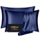 DKBslik Silk Pillow Cases 2 Pack Mulberry Silk Pillowcases Standard Set of 2 Smooth Anti Acne Beauty Sleep Both Sides Natural Silk Satin Pillow Cases for Women 2 Pack with Zipper for Gift Navy Blue