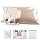 PROMEED 23 Momme Silk Pillowcase 2 Pack with Zipper 3rd Gen Grade 6A 100 Mulberry Silk Pillow Case Set of 2 Cooling Pillow Cases for Hot Sleepers Queen 20x30 Champagne