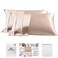 PROMEED 23 Momme Silk Pillowcase 2 Pack with Zipper 3rd Gen Grade 6A 100 Mulberry Silk Pillow Case Set of 2 Cooling Pillow Cases for Hot Sleepers Queen 20x30 Champagne