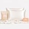 Sillo Silk Pillow Cases 2 Pack 22 Momme Mulberry Silk Pillowcases for Hair and Skin Anti Acne Pillow Case Hypoallergenic SilverInfused Envelope Closure Queen Ivory White