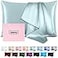 Casbrove Silk Pillow Cases for Hair and Skin Mulberry Silk Pillowcase Soft Breathable Both Sided Natural Silk Pillowcase with Zipper Beauty Sleep Pillow Cases 1 Pack for Gift Standard Haze Blue