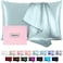 Casbrove Silk Pillow Cases for Hair and Skin Mulberry Silk Pillowcase Soft Breathable Both Sided Natural Silk Pillowcase with Zipper Beauty Sleep Pillow Cases 1 Pack for Gift Standard Haze Blue