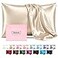 Casbrove Silk Pillow Cases for Hair and Skin Mulberry Silk Pillowcase Soft Breathable Smooth Both Sided Natural Silk Pillowcase with Zipper Beauty Sleep Silk Pillow Case 1 Pack for Gift Queen Champagn