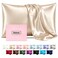 Casbrove Silk Pillow Cases for Hair and Skin Mulberry Silk Pillowcase Soft Breathable Smooth Both Sided Natural Silk Pillowcase with Zipper Beauty Sleep Silk Pillow Case 1 Pack for Gift Queen Champagn