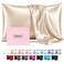 Casbrove Silk Pillow Cases for Hair and Skin Mulberry Silk Pillowcase Soft Breathable Smooth Both Sided Natural Silk Pillowcase with Zipper Beauty Sleep Silk Pillow Case 1 Pack for Gift Queen Champagn