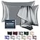 BEIJOEY 100 Mulberry Silk Pillowcase 2 Pack for Hair and Skinwith Hidden ZipperBoth Sides 19 Momme 600 Thread Count Natural Silk Pillow CoverSoft Breathable Smooth Gray Standard 20x26