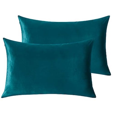 StangH Bed Pillow Pillowcase Thick Soft Velvet Fabric Zippered Pillow Covers for BedCouchSofa Decorative Queen Size Teal 20 x 30 inches Set of 2 Warm Cozy Protector