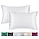 Smbeope 100 Mulberry Silk Pillowcase 2 Pack for Hair and Skinwith Hidden ZipperBoth Sides 22 Momme Natural Silk Pillow CoverSoft Breathable Smooth White Queen