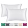 Smbeope 100 Mulberry Silk Pillowcase 2 Pack for Hair and Skinwith Hidden ZipperBoth Sides 22 Momme Natural Silk Pillow CoverSoft Breathable Smooth White Queen