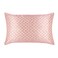 slip The Original Queen Pure Silk Pillow Case 100 Pure 22 Momme Mulberry Silk Queen Size Standard Pillow Case AntiAging AntiBedHead AntiSleep Crease Petal 20 x 30