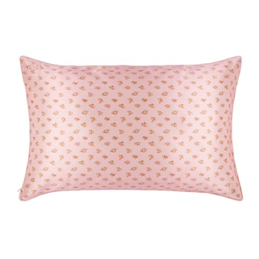 slip The Original Queen Pure Silk Pillow Case 100 Pure 22 Momme Mulberry Silk Queen Size Standard Pillow Case AntiAging AntiBedHead AntiSleep Crease Petal 20 x 30