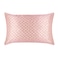 slip The Original Queen Pure Silk Pillow Case 100 Pure 22 Momme Mulberry Silk Queen Size Standard Pillow Case AntiAging AntiBedHead AntiSleep Crease Petal 20 x 30