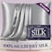 DECOLURE 100 Pure Mulberry Silk Pillow Case Standard Size Highest Grade 30 Momme 6A Luxuriously Soft Cooling Silk Pillowcase for Hair Skin Hypoallergenic Breathable Hidden Zipper Silver