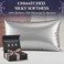 DECOLURE 100 Pure Mulberry Silk Pillow Case Standard Size Highest Grade 30 Momme 6A Luxuriously Soft Cooling Silk Pillowcase for Hair Skin Hypoallergenic Breathable Hidden Zipper Silver