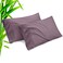 TELUS Pillow Cases Queen Size 2 Pack Bamboo Rayon Cooling Pillowcases with Envelope Closure Cool Breathable Pillow Case for Hot Sleepers Night Sweats 20x30 inches Greish Purple