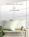 Good Sleep Bedding 1000 TC Sage Standard Pillowcases Set of 2 100 Egyptian Cotton Pillow Cases with Long Staple Cotton Sateen Weave Silky Soft Hotel Like Bed Pillow Covers for Comfy Sleeping Snug Fit