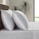 LB Luxury Bamboo Market Luxury Bamboo Market Queen Envelope Pillowcase Set 100 Viscose Made from Bamboo Organically Grown Ultra Soft Cooling 2pcs Dove Grey