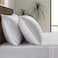 LB Luxury Bamboo Market Luxury Bamboo Market Queen Envelope Pillowcase Set 100 Viscose Made from Bamboo Organically Grown Ultra Soft Cooling 2pcs Dove Grey