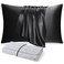 DISANGNI 100 Natural Mulberry Silk Pillow case for Hair and Skin with Hidden Zipper 22 Momme Both Sides Real Silk Pillow Case 1pc Standard Size 20x26 Black