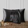 DISANGNI 100 Natural Mulberry Silk Pillow case for Hair and Skin with Hidden Zipper 22 Momme Both Sides Real Silk Pillow Case 1pc Standard Size 20x26 Black