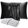DISANGNI 100 Natural Mulberry Silk Pillow case for Hair and Skin with Hidden Zipper 22 Momme Both Sides Real Silk Pillow Case 1pc Standard Size 20x26 Black