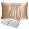 DISANGNI 100 Natural Mulberry Silk Pillow case for Hair and Skin with Hidden Zipper 22 Momme Both Sides Real Silk Pillow Case 1pc Standard Size 20 x26 Gold