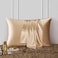 DISANGNI 100 Natural Mulberry Silk Pillow case for Hair and Skin with Hidden Zipper 22 Momme Both Sides Real Silk Pillow Case 1pc Standard Size 20 x26 Gold