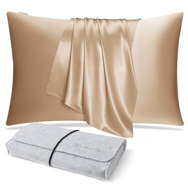 DISANGNI 100 Natural Mulberry Silk Pillow case for Hair and Skin with Hidden Zipper 22 Momme Both Sides Real Silk Pillow Case 1pc Standard Size 20 x26 Gold