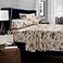 Tribeca Living Cotton Percale California King Size Bed Sheet Set 300 Thread Count Extra Deep Pockets Multicolor