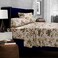 Tribeca Living Cotton Percale California King Size Bed Sheet Set 300 Thread Count Extra Deep Pockets Multicolor