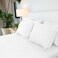 Jennifer Adams Lux Collection Sheet Set 4Piece Microfiber Sheets Pillowcases UltraSoft Breathable and WrinkleResistant for Queen Size Bed Queen White