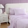 Betsey Johnson Queen Bed Sheets Soft Lightweight Bedding Fade Wrinkle Resistant Chic Room Essentials Butterfly Stripe Purple Queen