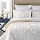mixinni Quilt Twin Size Reversible 2Piece Beige Embroidery Pattern Elegant Quilt Set with Embroidered Decorative Sham Soft BedspreadCoverlet SetTwin