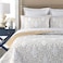 mixinni Quilt Twin Size Reversible 2Piece Beige Embroidery Pattern Elegant Quilt Set with Embroidered Decorative Sham Soft BedspreadCoverlet SetTwin