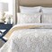 mixinni Quilt Twin Size Reversible 2Piece Beige Embroidery Pattern Elegant Quilt Set with Embroidered Decorative Sham Soft BedspreadCoverlet SetTwin