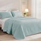 Exclusivo Mezcla Queen Quilt Bedding Set Lightweight Aqua Blue Quilts Queen Full Size for All Seasons Soft Microfiber Bedspreads Coverlets Bed Cover with Leaf Pattern 3 Piece