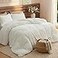 Bedsure Comforter Set Queen Size GentleSoft 3 Pieces DoubleSide Fleece Fluffy White Comforter Set Cozy Striped Room Decor Aesthetic Luxury Bedding Queen Size 2 Pillowcases 90x90 Inches