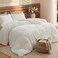 Bedsure Comforter Set Queen Size GentleSoft 3 Pieces DoubleSide Fleece Fluffy White Comforter Set Cozy Striped Room Decor Aesthetic Luxury Bedding Queen Size 2 Pillowcases 90x90 Inches