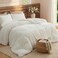 Bedsure Comforter Set Queen Size GentleSoft 3 Pieces DoubleSide Fleece Fluffy White Comforter Set Cozy Striped Room Decor Aesthetic Luxury Bedding Queen Size 2 Pillowcases 90x90 Inches