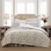 Laura Ashley Queen Comforter Set Reversible Cotton Bedding with Matching Shams Floral Home Decor with Plaid Reverse Bramble Floral Beige Queen