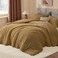 BEDELITE Fleece King Comforter Set Super Soft Warm Fluffy Brown Bedding Luxury Fuzzy Heavy Bed Set for Winter with 2 Pillow Cases