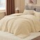 BEDELITE Fleece Queen Comforter Set Super Soft Warm Fluffy Beige Bedding Luxury Fuzzy Heavy Bed Set for Winter with 2 Pillow Cases