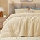 BEDELITE Fleece Queen Comforter Set Super Soft Warm Fluffy Beige Bedding Luxury Fuzzy Heavy Bed Set for Winter with 2 Pillow Cases